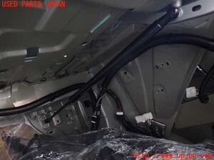 JPD10 트렁크 댐퍼